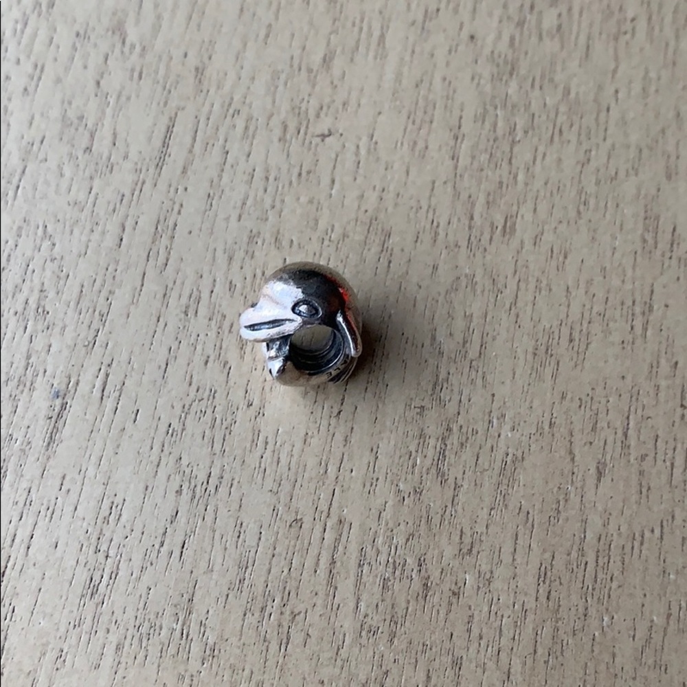 Pandora charm